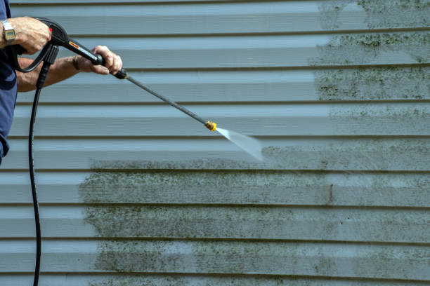 Best Driveway Pressure Washing  in Bartlett, TX